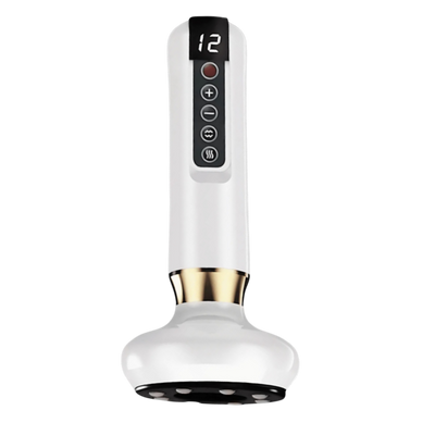 AMORA – מובילים בטיפוח ביתי